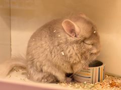 -龙猫仔乐园(惠福东路店)