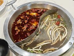 -重庆巴渝火锅(钟家村店)