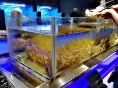 -V-ONE西雅图海鲜自助餐厅(仓山万达广场店)