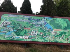 -龙口南山旅游景区