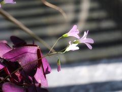 -盛邦家居建材广场