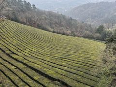 -敬亭山风景名胜区