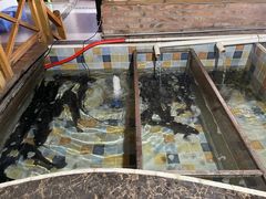 -缘福乡村铁锅炖民宿(八达岭店)