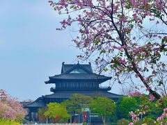 -海珠湖公园