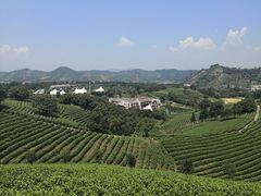 -帐篷客·溪龙茶谷度假酒店