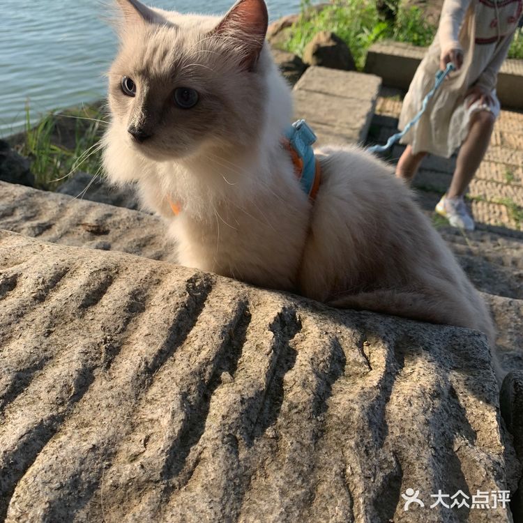 凌波门 | 心中东湖最美的角落