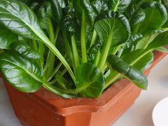 -巴渝瓦肆重庆鲜火锅(宝龙环湖店)