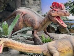 -国家自然博物馆