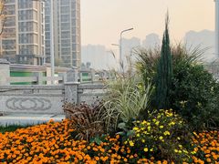 -木塔寺遗址生态公园