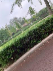 -HEYAN长风荷妍专业脱毛美肤
