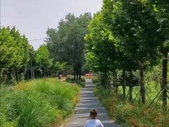 -星动计划儿童运动馆(闵行乐虹坊店)