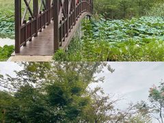-同里国家湿地公园
