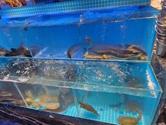 -山海•蒸汽活海鲜自助(皇庭广场店)