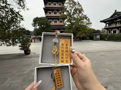 -大明寺素斋