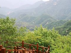 -大岭沟猕猴桃谷风景区