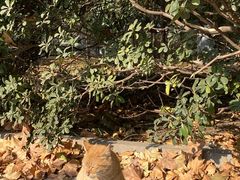 -河南省黄河迎宾馆