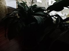 -远大购物中心(南岗店)