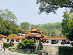 -深圳仙湖植物园