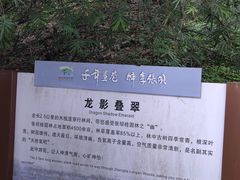-张坝桂圆林公园