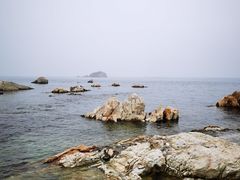 -养马岛旅游度假区
