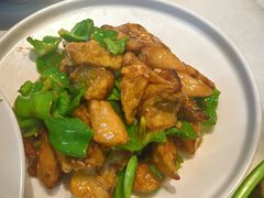 -来相会饺子·新辽菜(甘家口店)