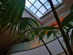 -大书房咖啡(中传国交店)