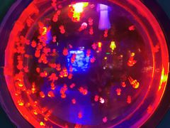 -太平洋海底世界