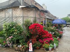 -平吉花卉市场
