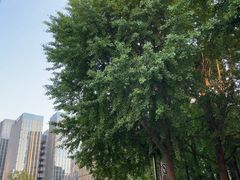 -成都银泰中心in99