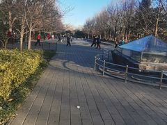 -玲珑塔公园