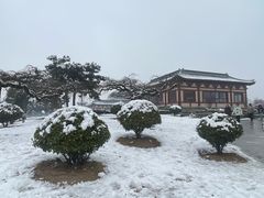 -洛阳古墓博物馆