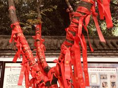 -西安青龙寺遗址景区