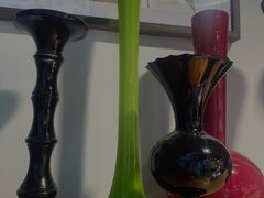 -自由生长植物工作室(深港花卉中心店)