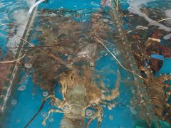 -清水湾3号(东方小周海鲜店)