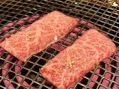 -炼火烤肉店