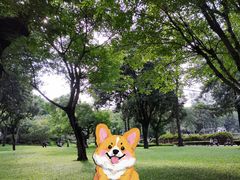 -晓港公园