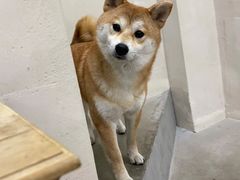-SPARROW 家雀儿咖啡本店