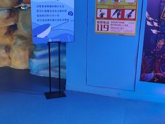 -沙沙哗啦海洋馆(华宇百花谷店)