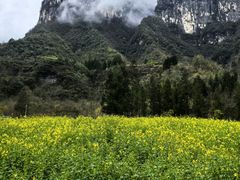-鹿院坪生态旅游景区