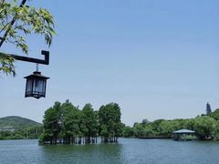 -东湖食堂·湖景餐厅•会议