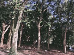 -杭州植物园