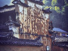 -杨家堂村