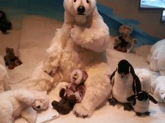 -济州岛泰迪熊博物馆