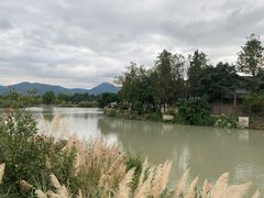 -三垟湿地