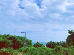 -广东惠东海龟国家级自然保护区