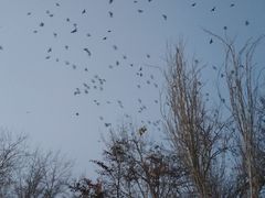 -天津工业大学(河东校区)