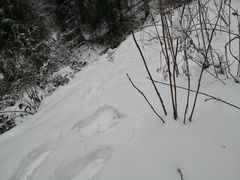 -九峰山