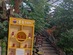 -老山东·山东菜(鲁菜名店)