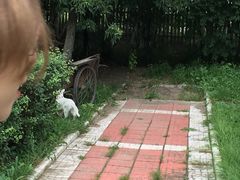 -白渔泡湿地公园