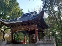 -汇龙潭